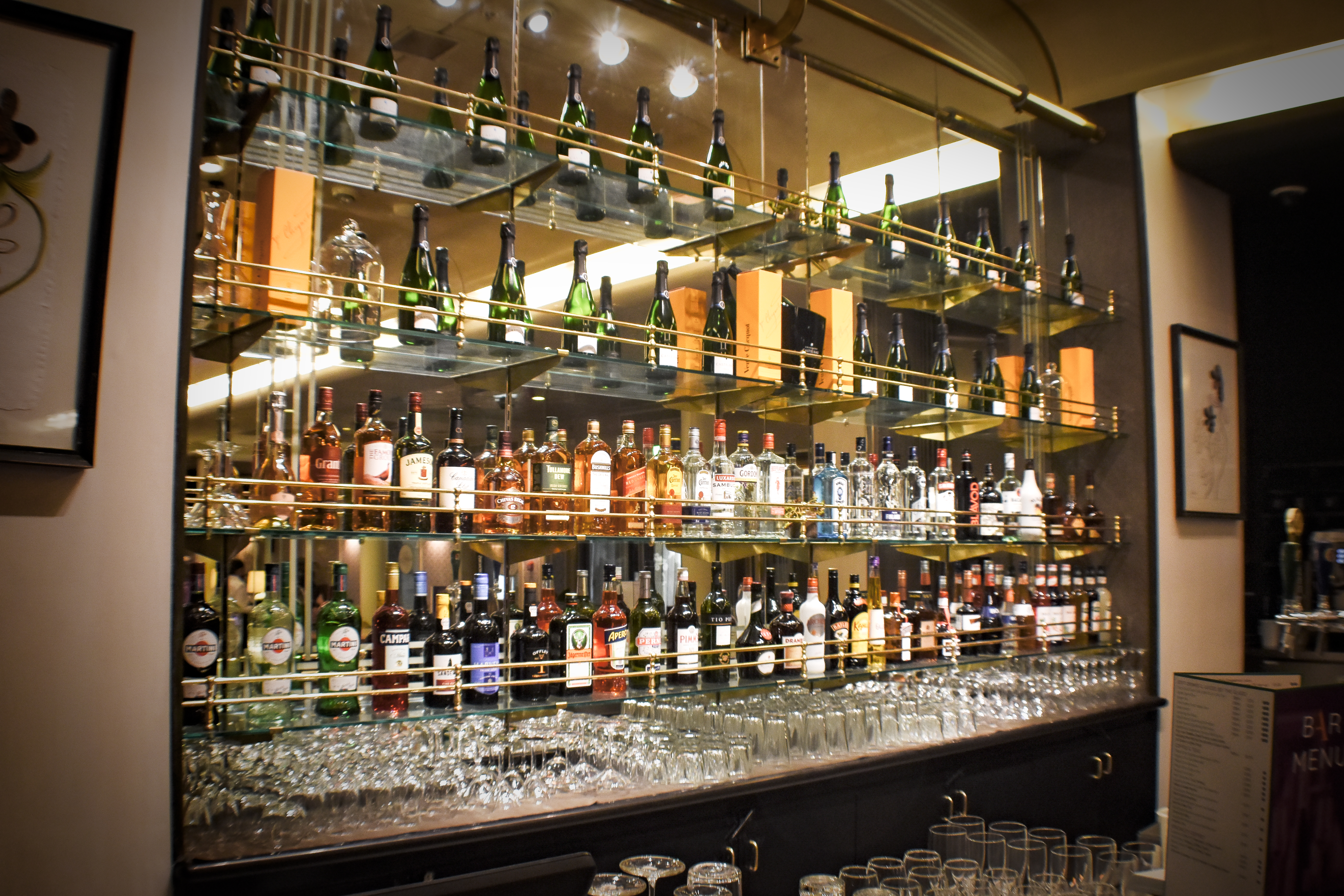 Botanical Lounge