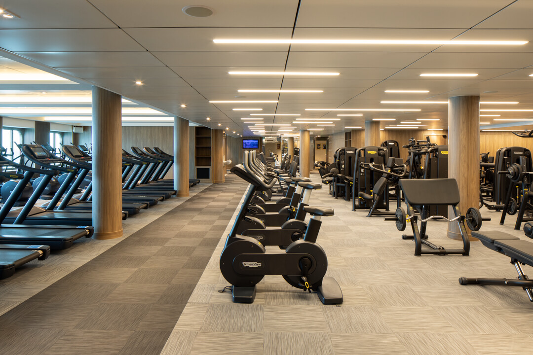 The Gym