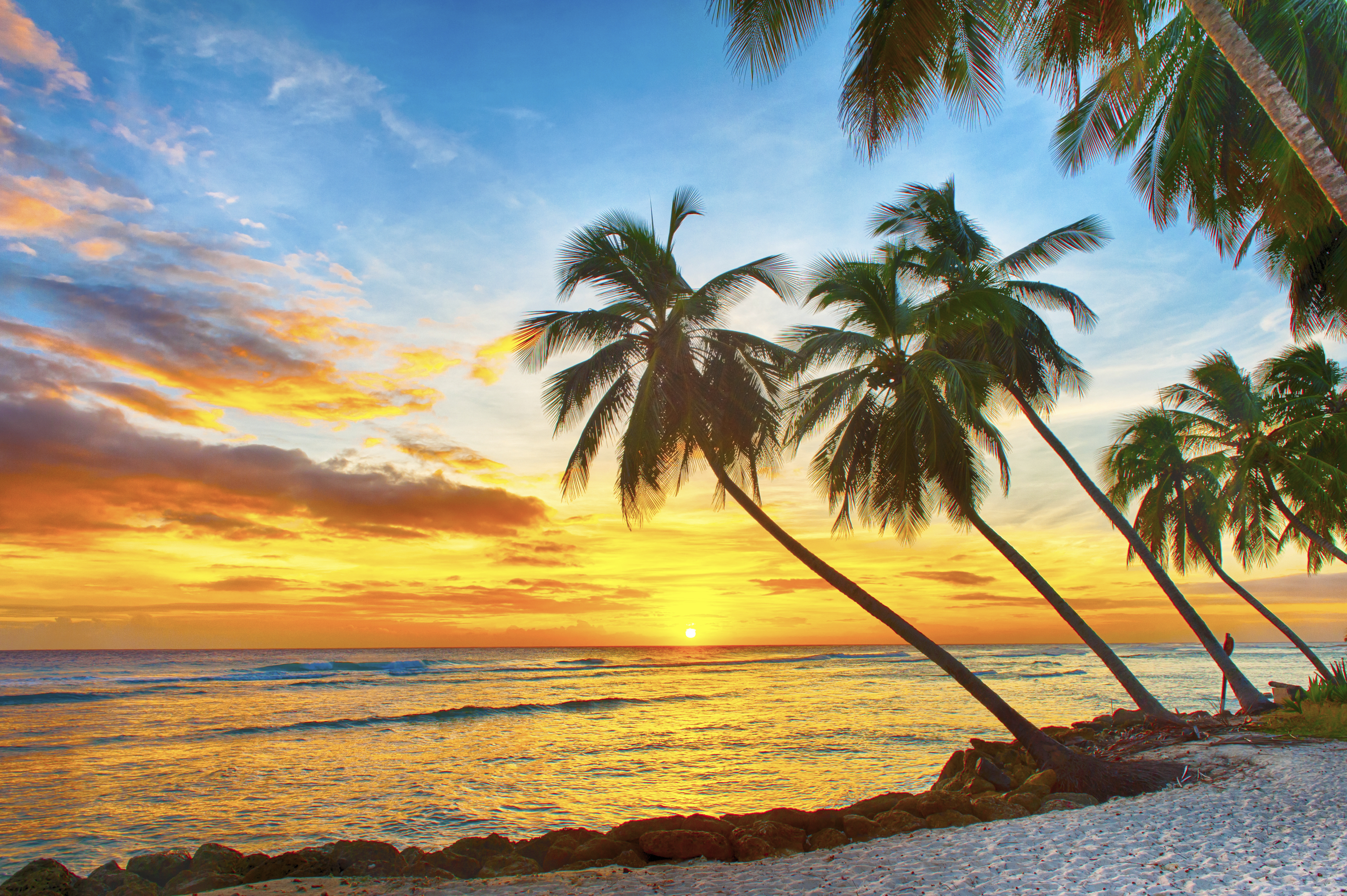 Kryssning från Guadeloupe