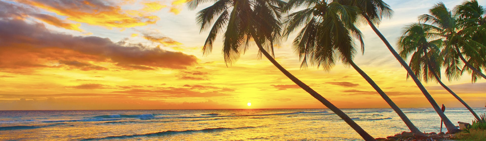 Kryssning från Guadeloupe