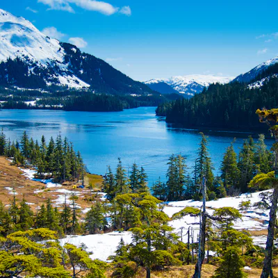 Kryssa i Alaska med Holland America Line