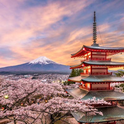 Kryssa runt Japan med MSC Cruises