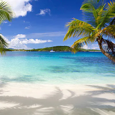 Kryssa i Karibien med Holland America Line