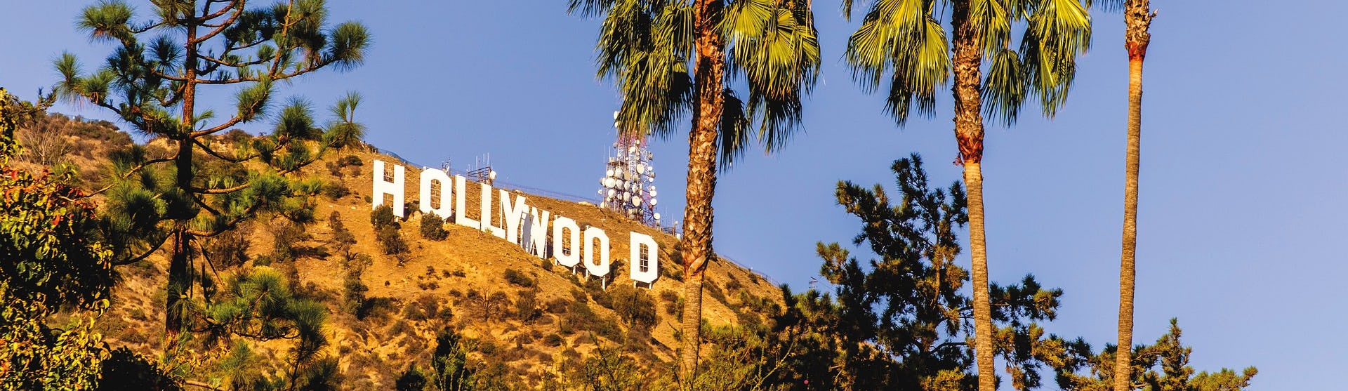 Bilden visar Holloywoodskylten i Los Angeles och palmer