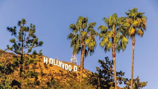 Bilden visar Holloywoodskylten i Los Angeles och palmer