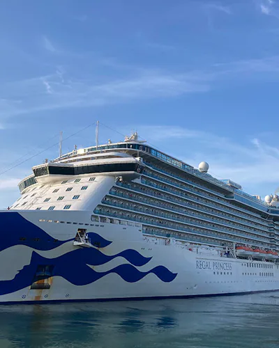 Bilden visar fartyget Regal Princess till havs