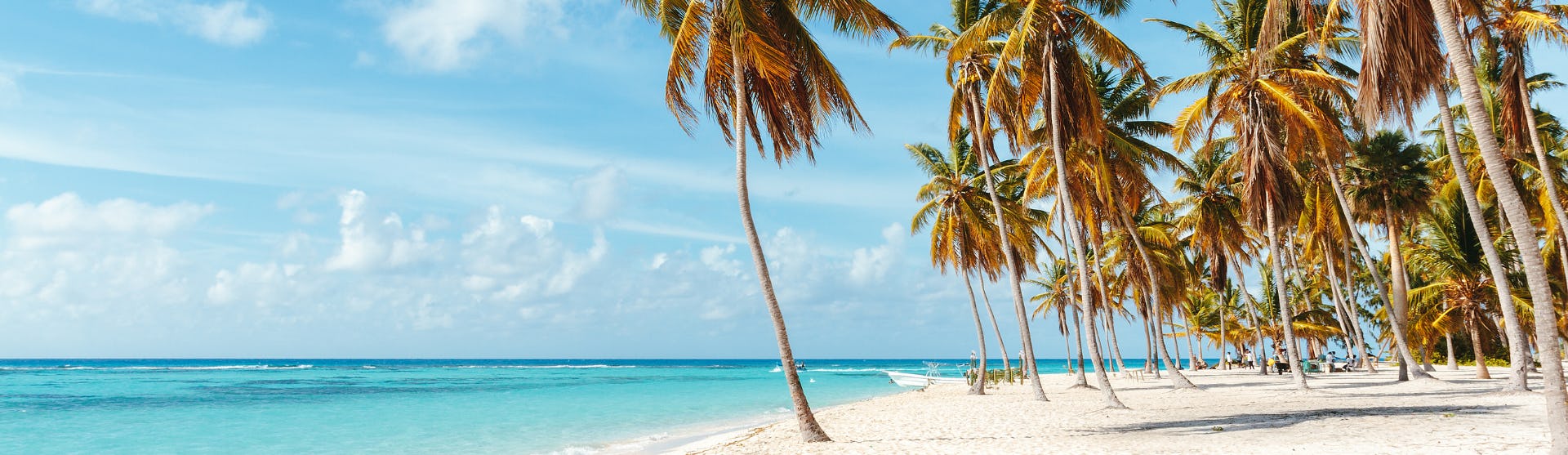 Bild på n strand med palmer. Upplev Karibiens fantastiska stränder.