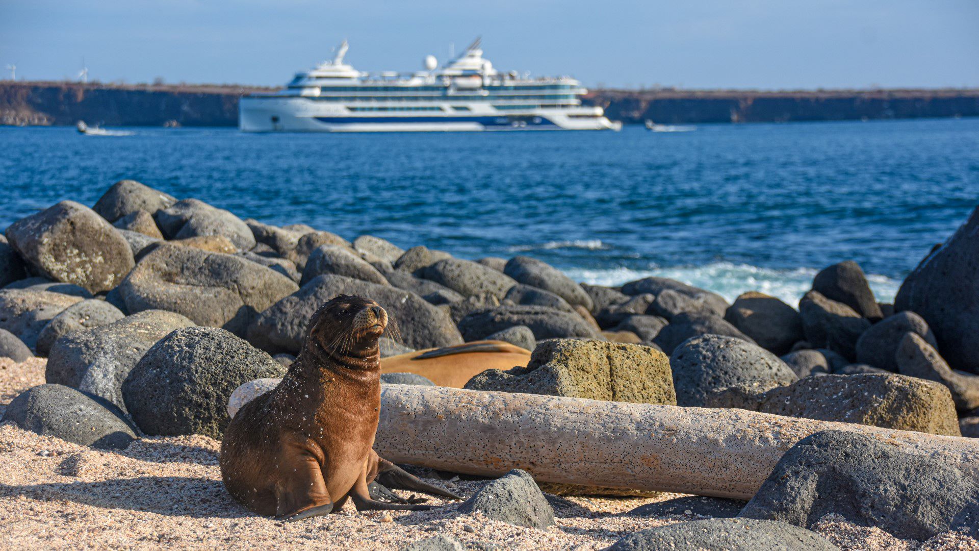 Kryssa i Galapagos med Celebrity Cruises