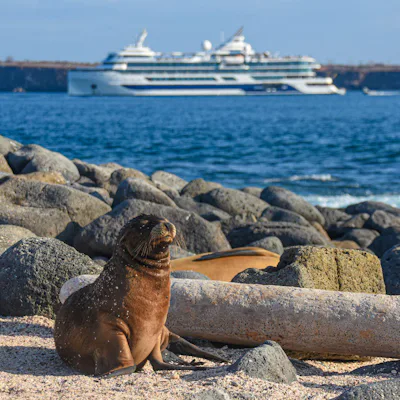 Kryssa i Galapagos med Celebrity Cruises