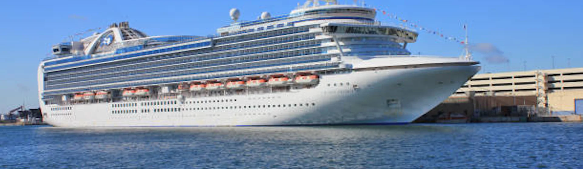 Crown Princess
