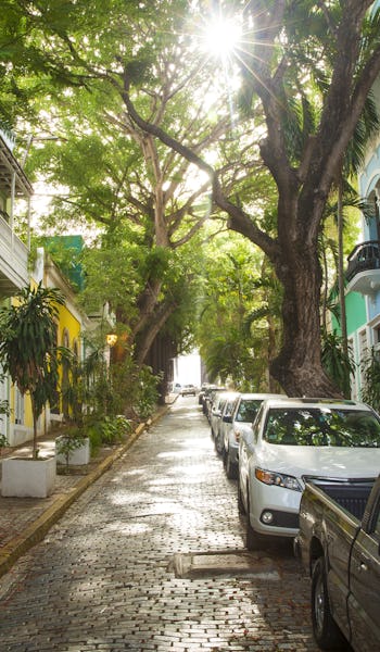 Karibien från San Juan