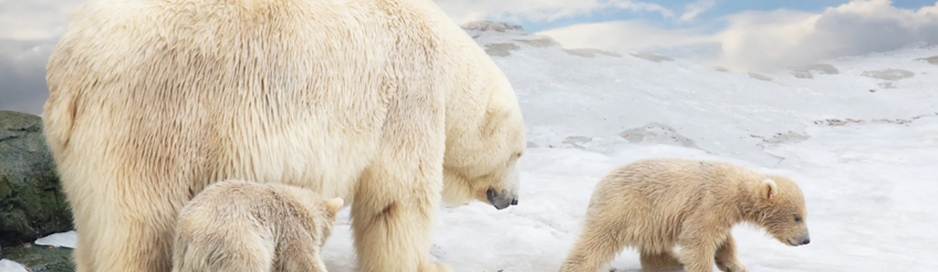 Svalbard
