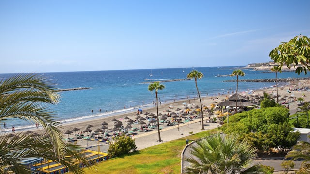 Kryssa i Kanarieöarna med MSC Cruises! På bilden ser vi en härlig strandbild från Kanarieöarna med palmer och parasol.