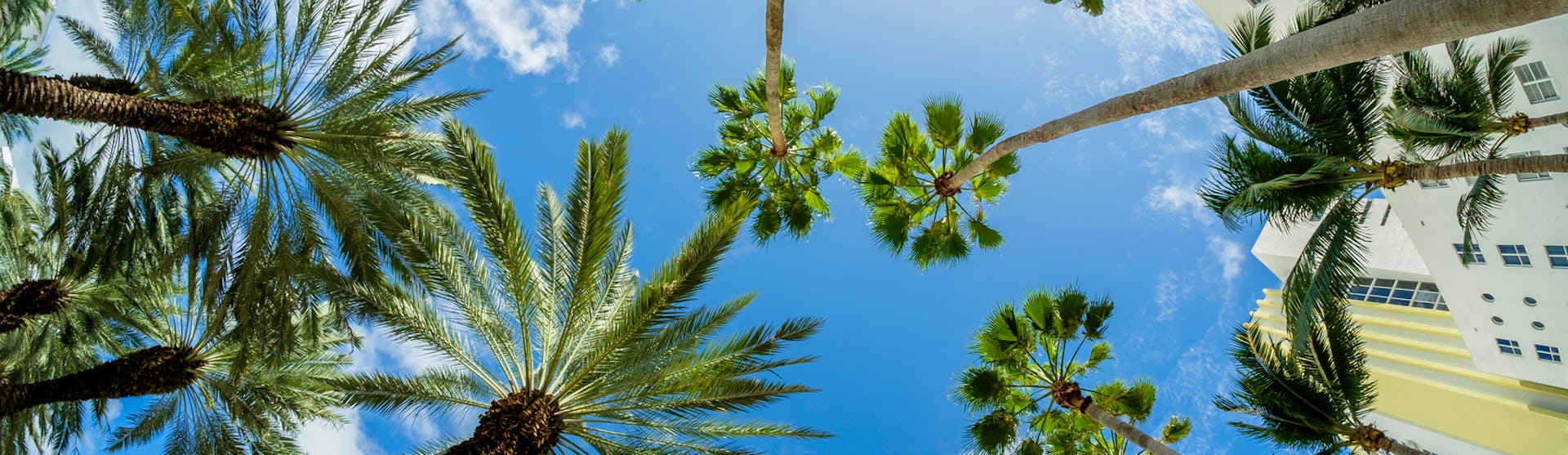 Kryssningar från Miami