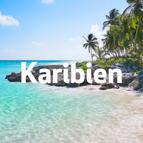 Bilden visar en strand i Karibien