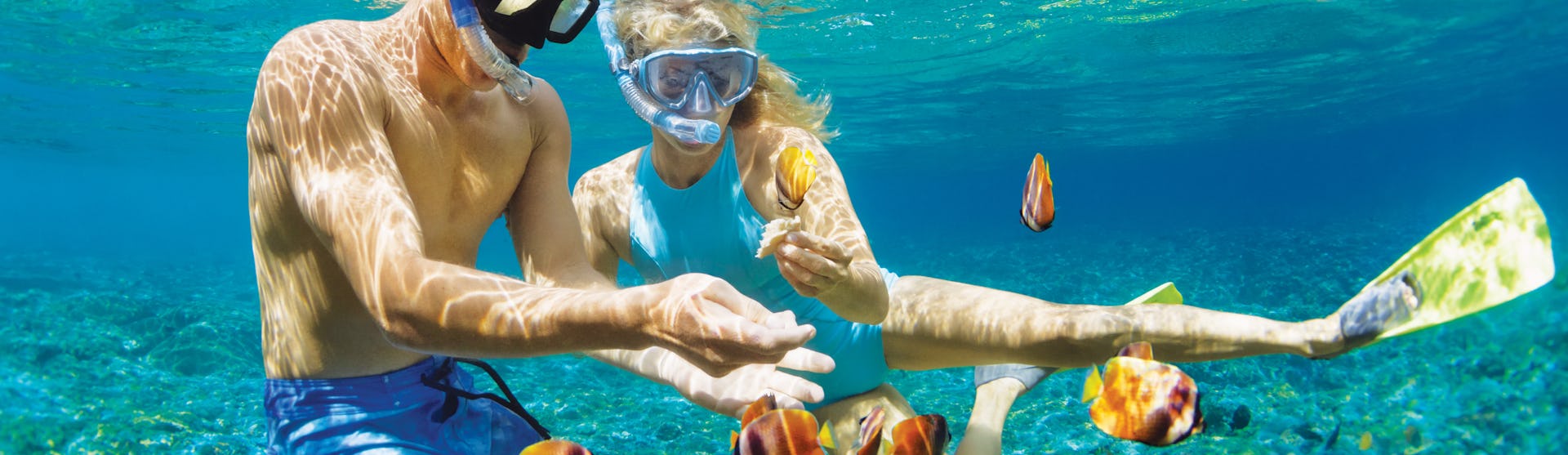 Åk på en sommarkryssning. Bilden visar två personer som snorklar i klart vatten med fiskar.