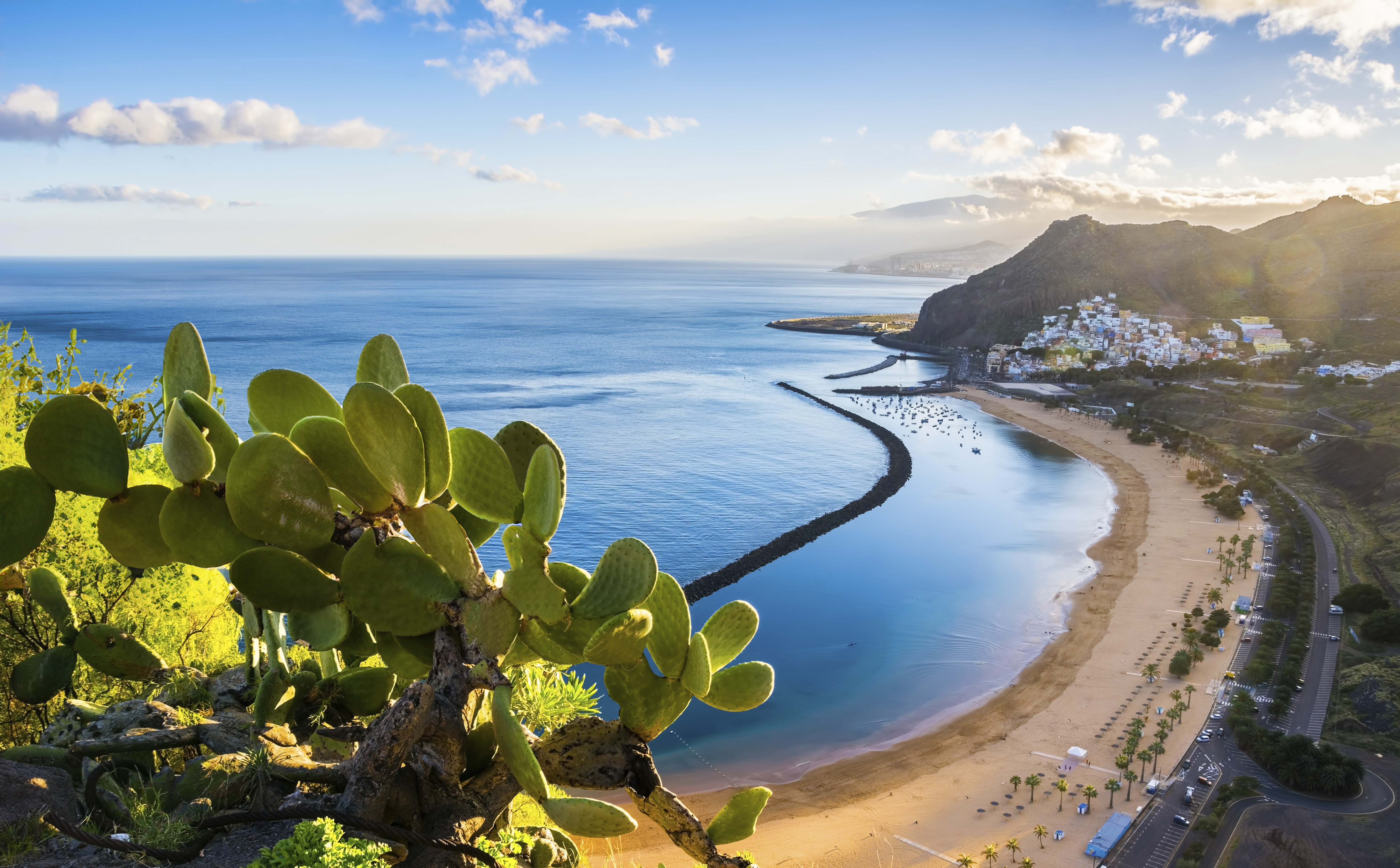 Upplev en kryssning runt Kanarieöarna. Bilden visar en strand på Teneriffa i Kanareöarna.
