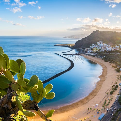 Upplev en kryssning runt Kanarieöarna. Bilden visar en strand på Teneriffa i Kanareöarna.