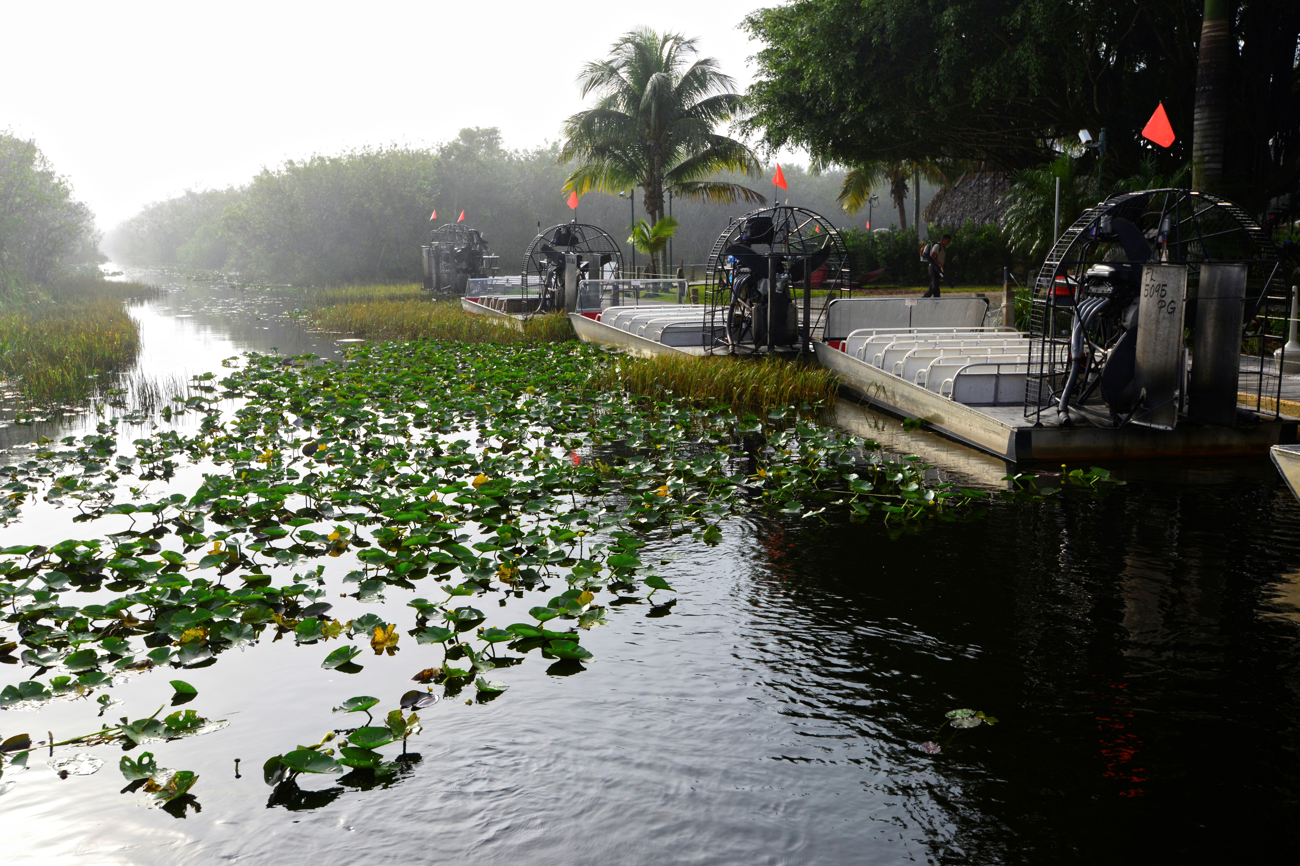 Besök Florida Everglades nationalpark. På bilden syns en del av våtmarken och fyra airboats.