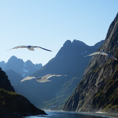 Bild på Norges vackra landskap och den vackra fjorden Trollfjord. Boka kryssning norska kusten.