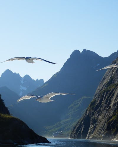 Bild på Norges vackra landskap och den vackra fjorden Trollfjord. Boka kryssning norska kusten.