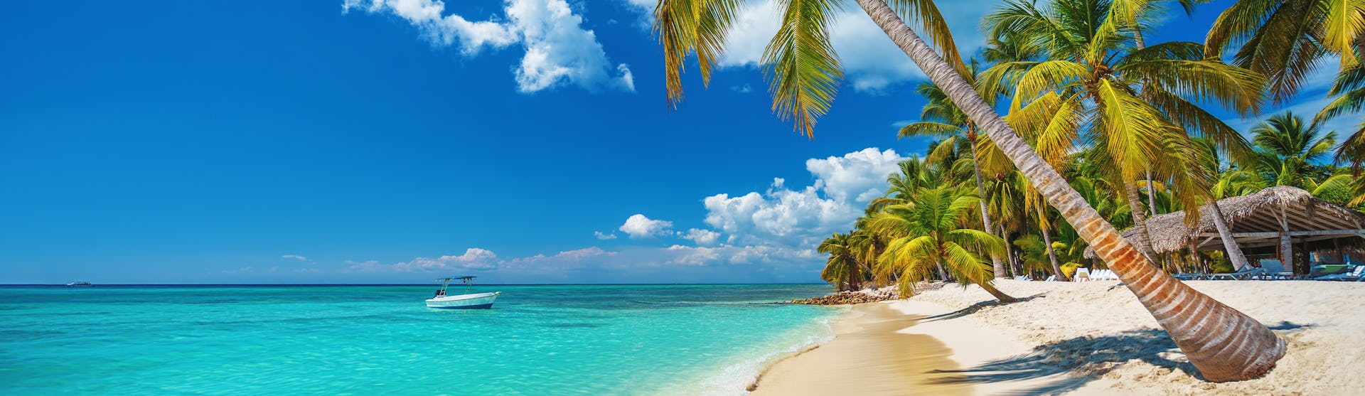 Åk på en kryssning i Karibien, kryssningsvärldens popläraste destination. Bilden visar en bild på en strand i Karibien med turkost vatten som ligger stilla. På sidan syns palmer.