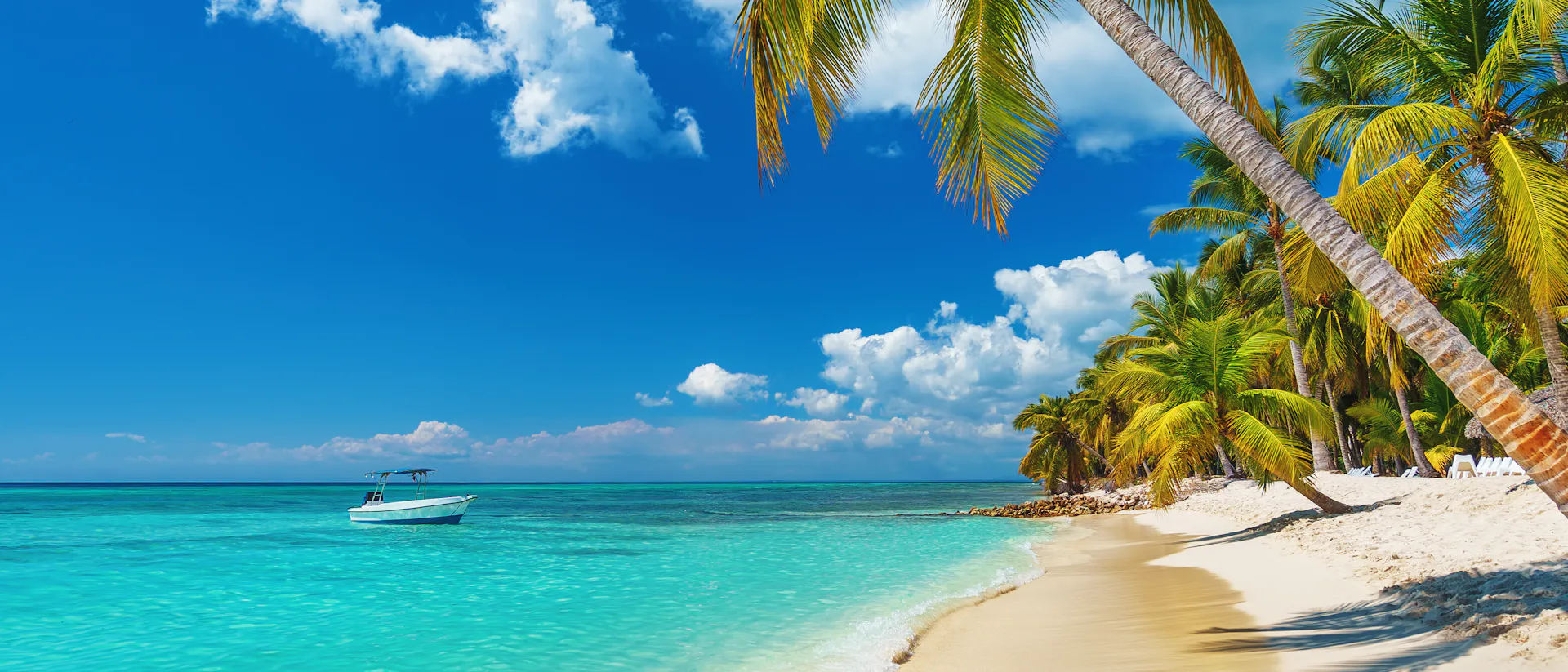 Åk på en kryssning i Karibien, kryssningsvärldens popläraste destination. Bilden visar en bild på en strand i Karibien med turkost vatten som ligger stilla. På sidan syns palmer.