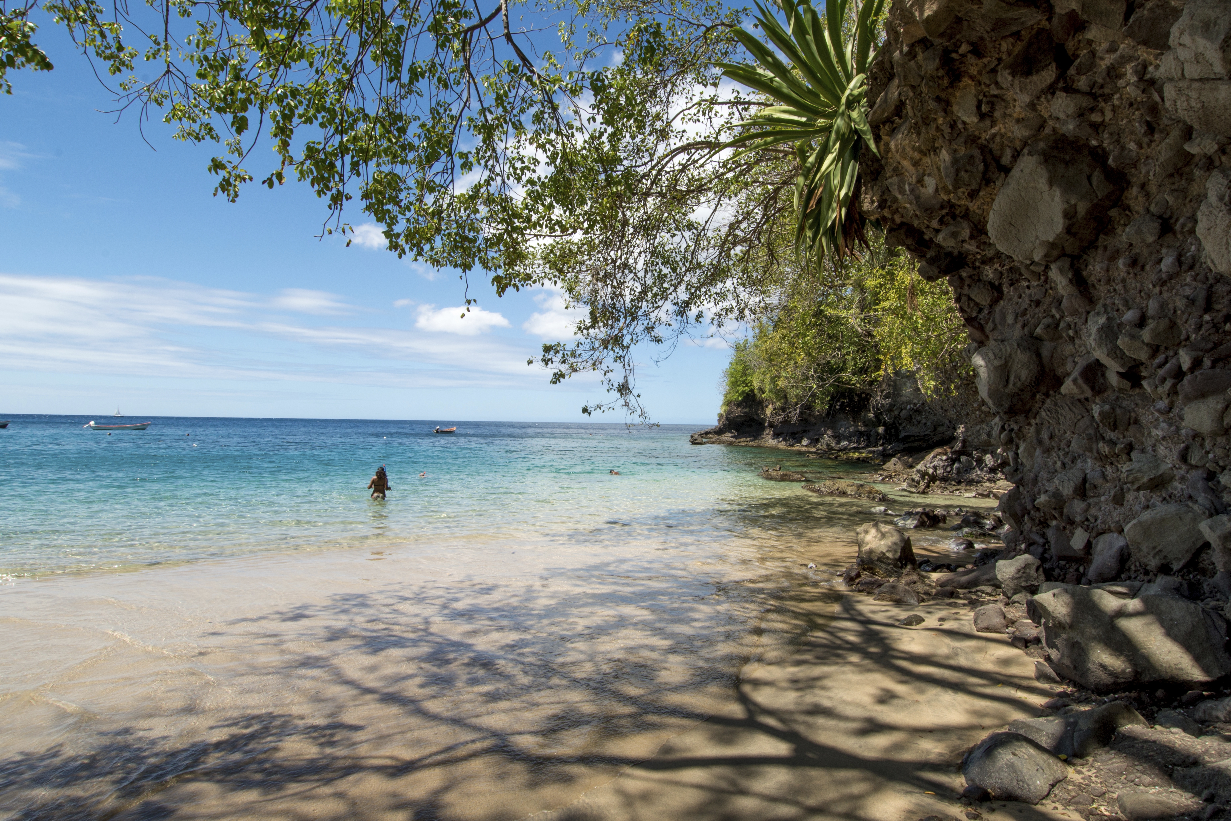 Kryssningar från Martinique i Karibien. Bilden visar en liten strand till vänster med lite träd och klippor till höger.
