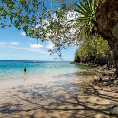 Kryssningar från Martinique i Karibien. Bilden visar en liten strand till vänster med lite träd och klippor till höger.