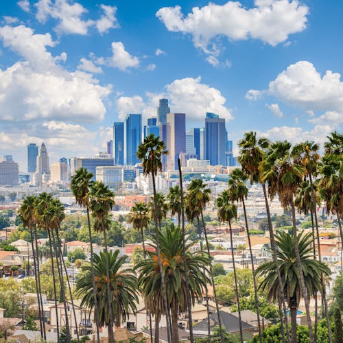 Kryssa från Los Angeles i USA. Bilden visar en överblick av Los Angeles skyskrapor med lite palmer i förgrunden.