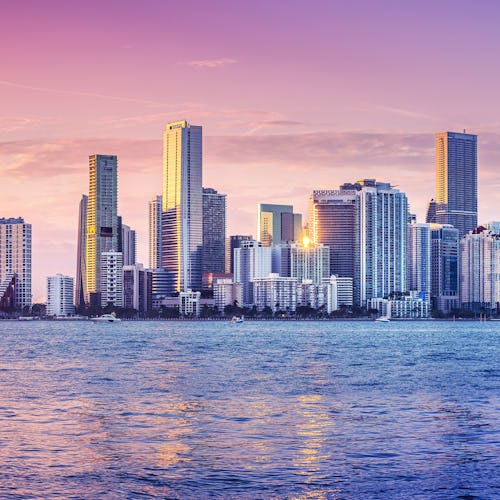 Kryssa från Miami i USA. Bilden visar en överblick på Miamis skyskrapor från vattnet.