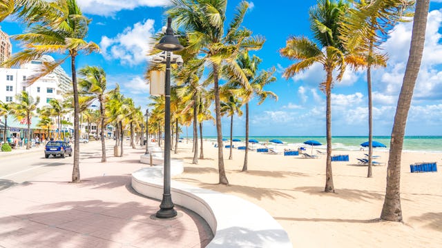 Besök Fort Lauderdale Beach. Bilden visar en del av Fort Lauderdales beach med stranden, vattnet och palmer.