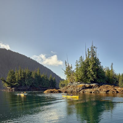 Kryssa i Alaska med Norwegian Cruise Line. Bilden visar folk som paddlar kajak i Alaska med n vacker skog i bakgrunden.