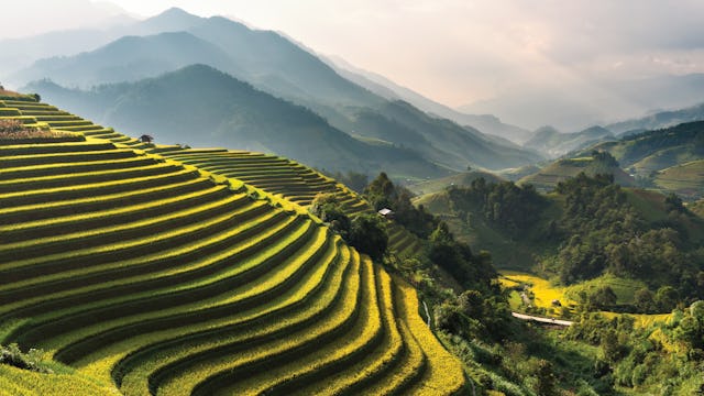 Bilden visar vackra risfält i de Vietnamnesiska bergen. Kryssa i Asien och se vackra vyer med risfält.