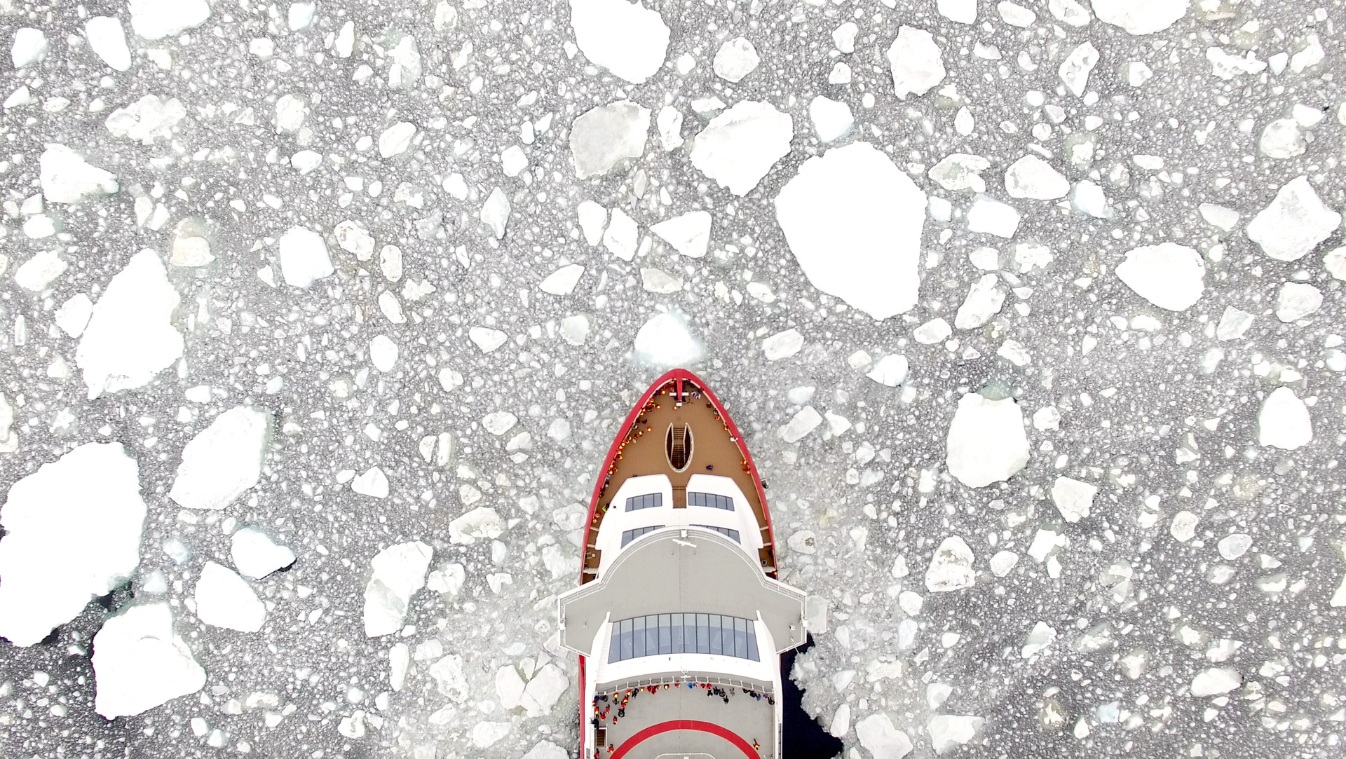 Kryssa till Antarktis