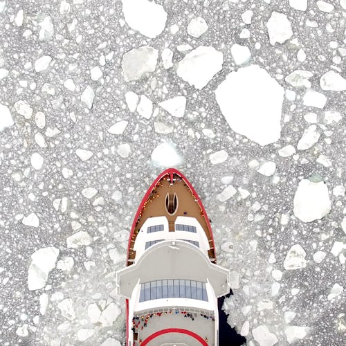 Kryssa till Antarktis