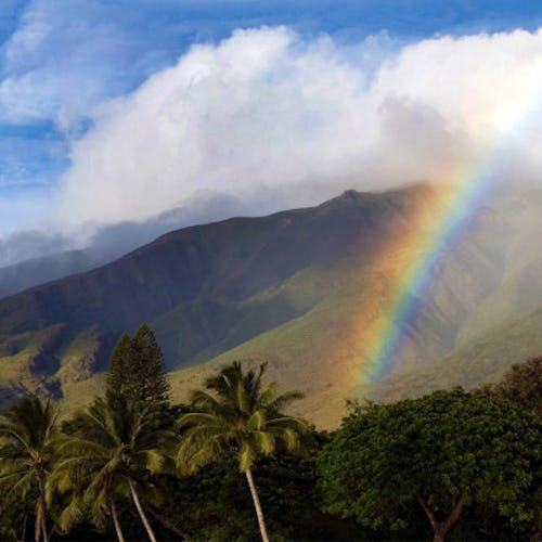 Kryssa med Holland America Line i Hawaii. Bilden visar en regnbåge över Hawaiis landskap.