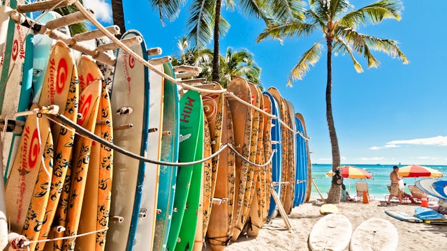 Upplev Hawaiis magiska stränder - perfekt för surfaren. Bilden visar surfinbrädor i rad.