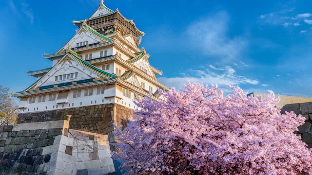 Bilden visar ett tempel i Osaka bredvid ett blommande körsbärsträd