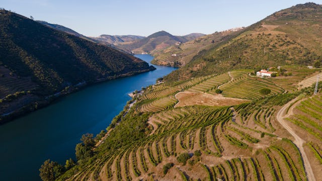 Bilden visar de vackra vingårdarna som ligger vid dalen nära Peso de Regua.