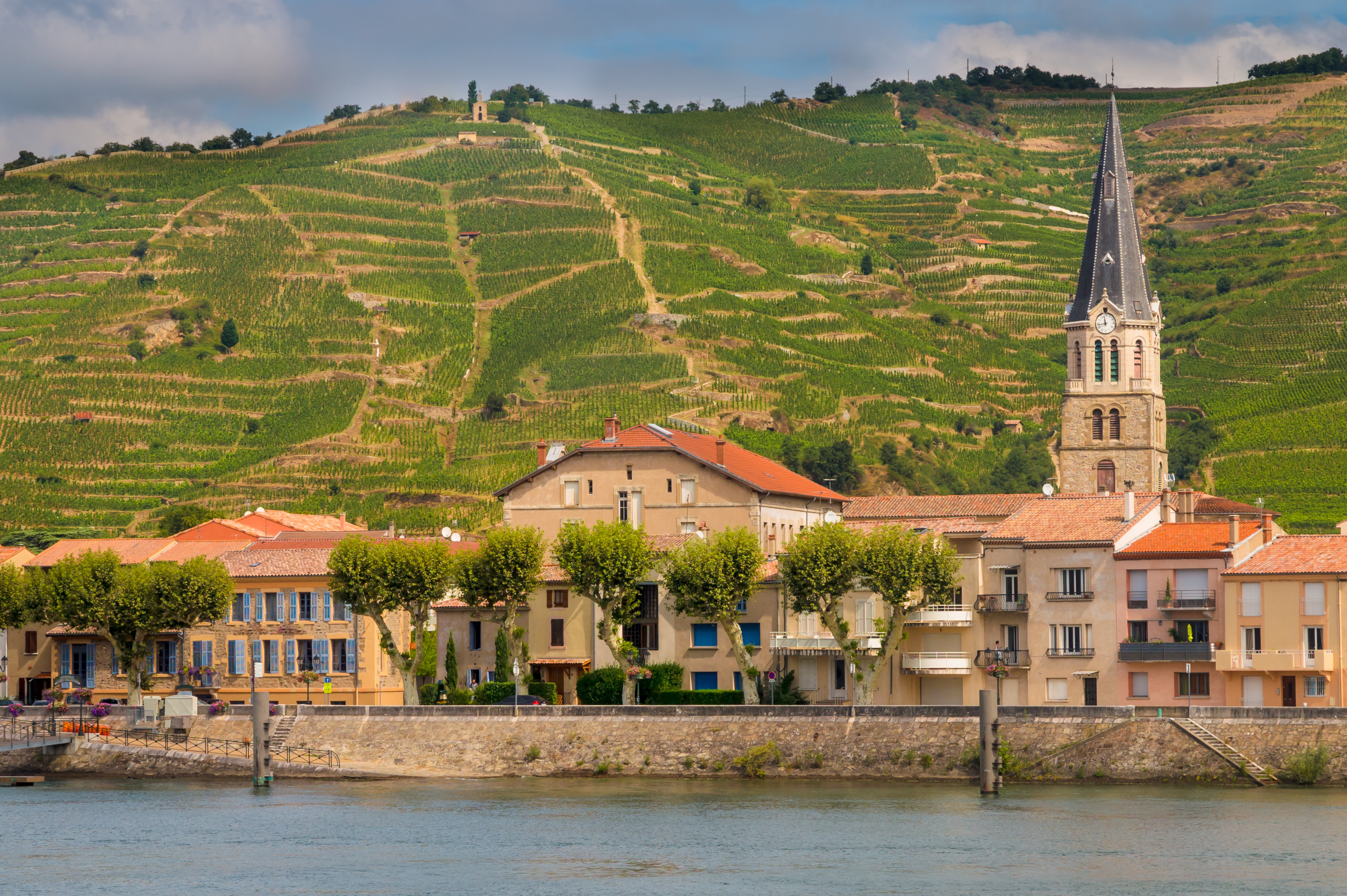 Bilden visar staden Tournon sur Rhone med en vingård bakom och floden Rhone som rinner framför.