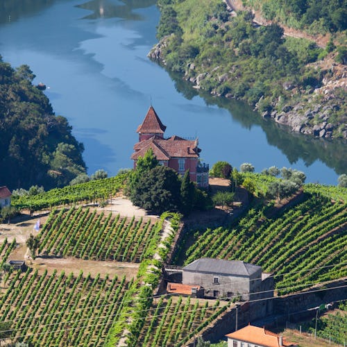 Bilden visar dalarna och vingårdarna som ligger längs floden Douro i Portugal.