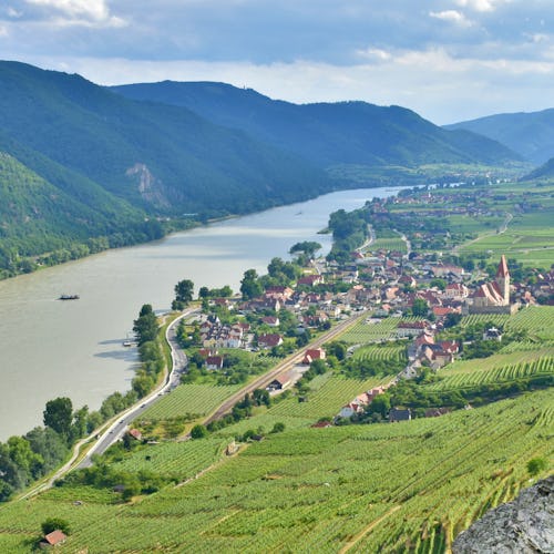 Bilden visar Wachaudalen och dess vinodlingar med floden Donau som rinner bredvid.