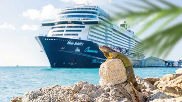 Bild tagen från land på en ödla, i bakgrunden står Mein Schiff 1 vid bryggan