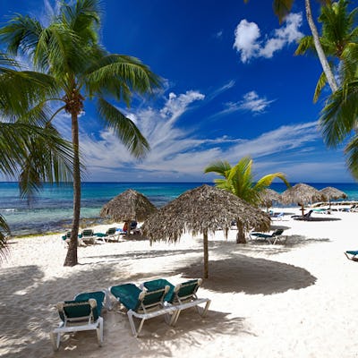 Kryssningar från La Romana i Karibien. Bilden visar en strand med palmer och solparasoll.