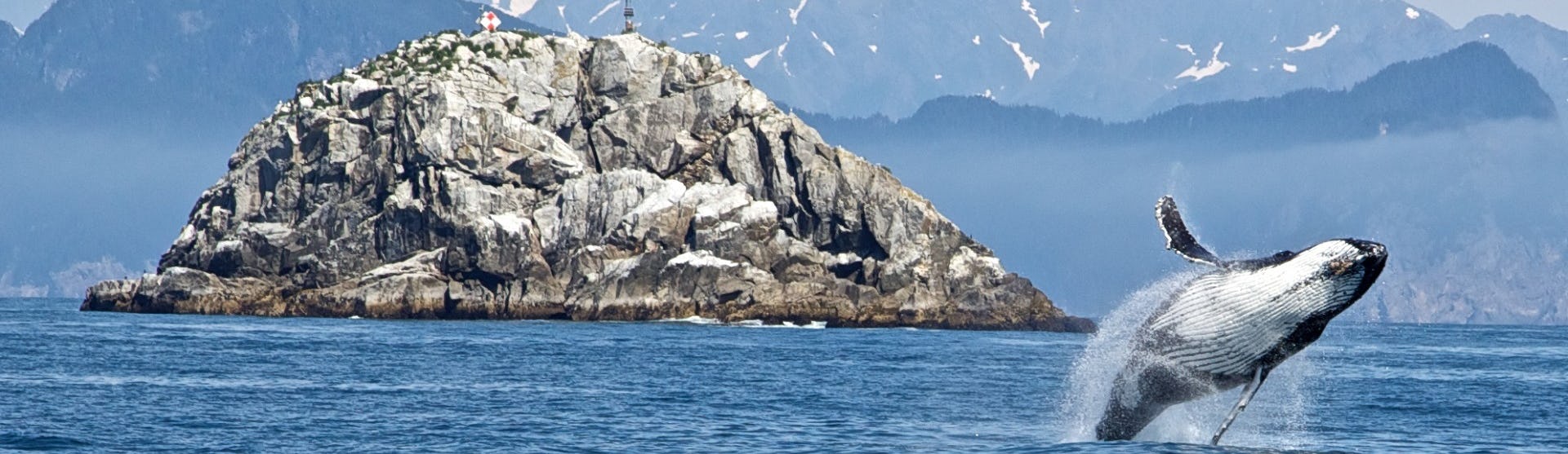 Kryssningar från Vancouver