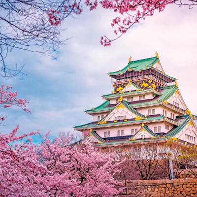 Bilden visar ett slott i Osaka, Japan