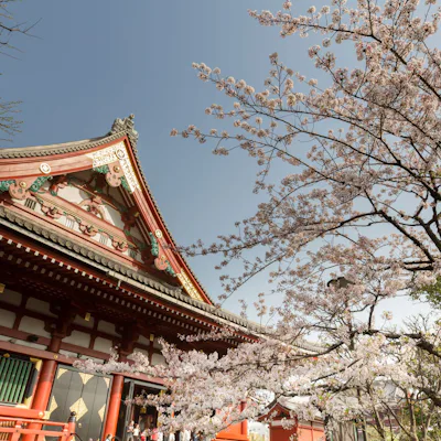 Kryssa i Asien med Celebrity Cruises