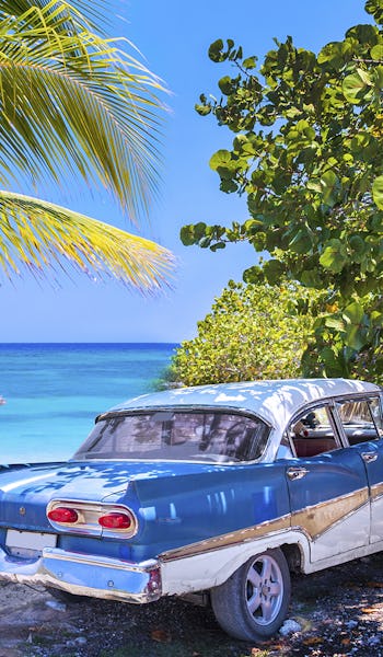 Karibien med MSC Cruises