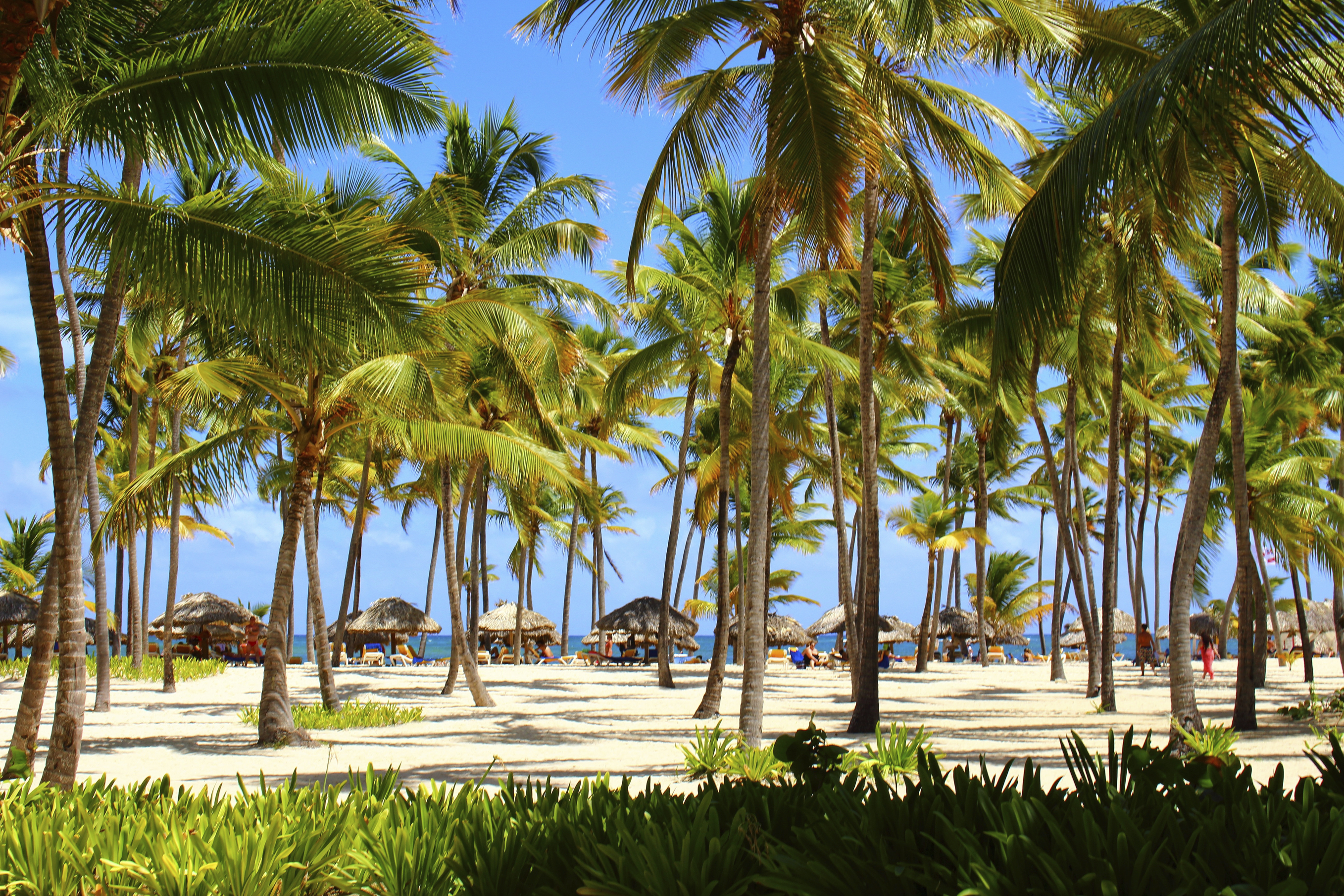 Kryssning från Tampa